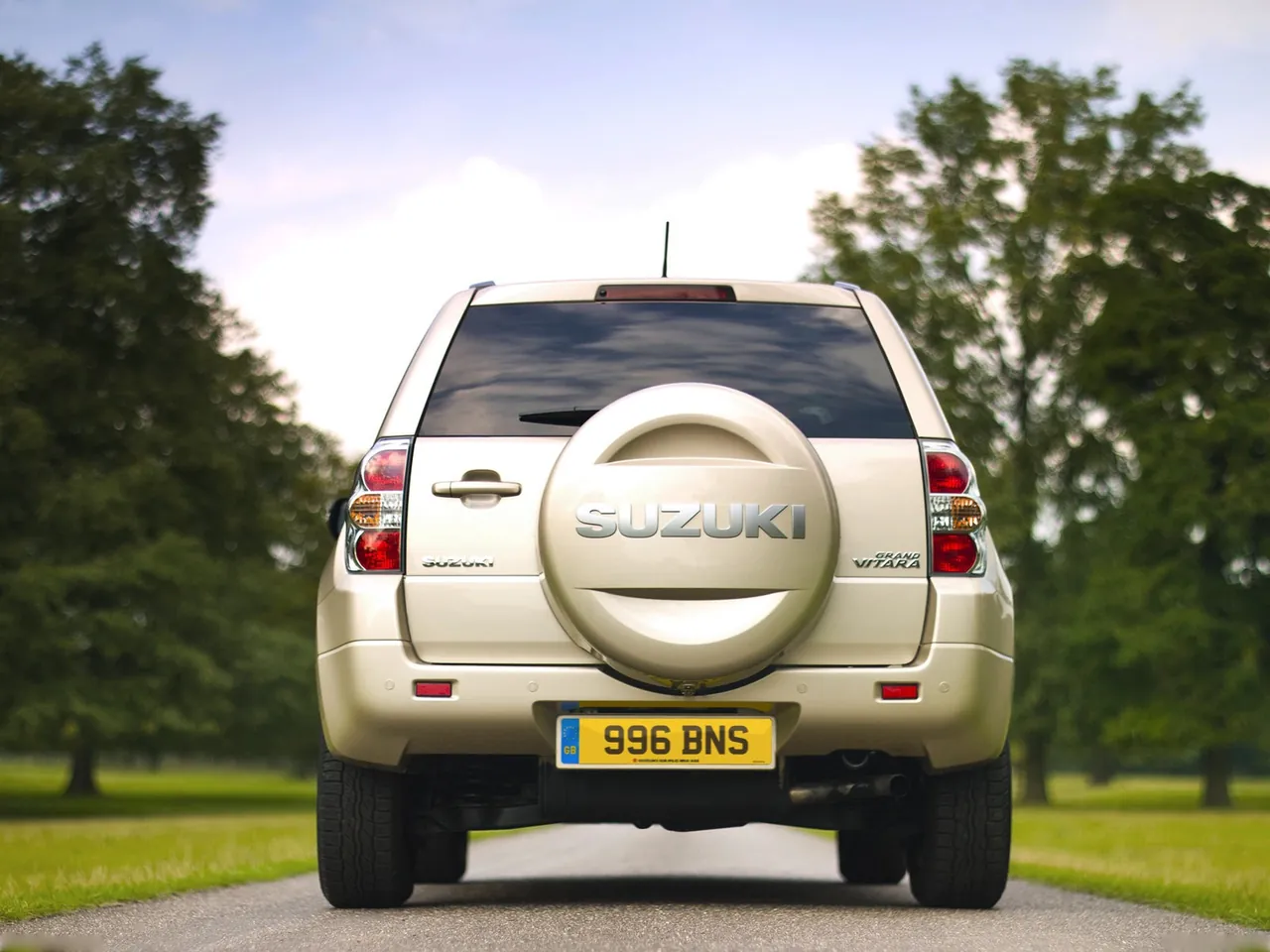 Suzuki Grand Vitara 3-door (2009) – zezadu