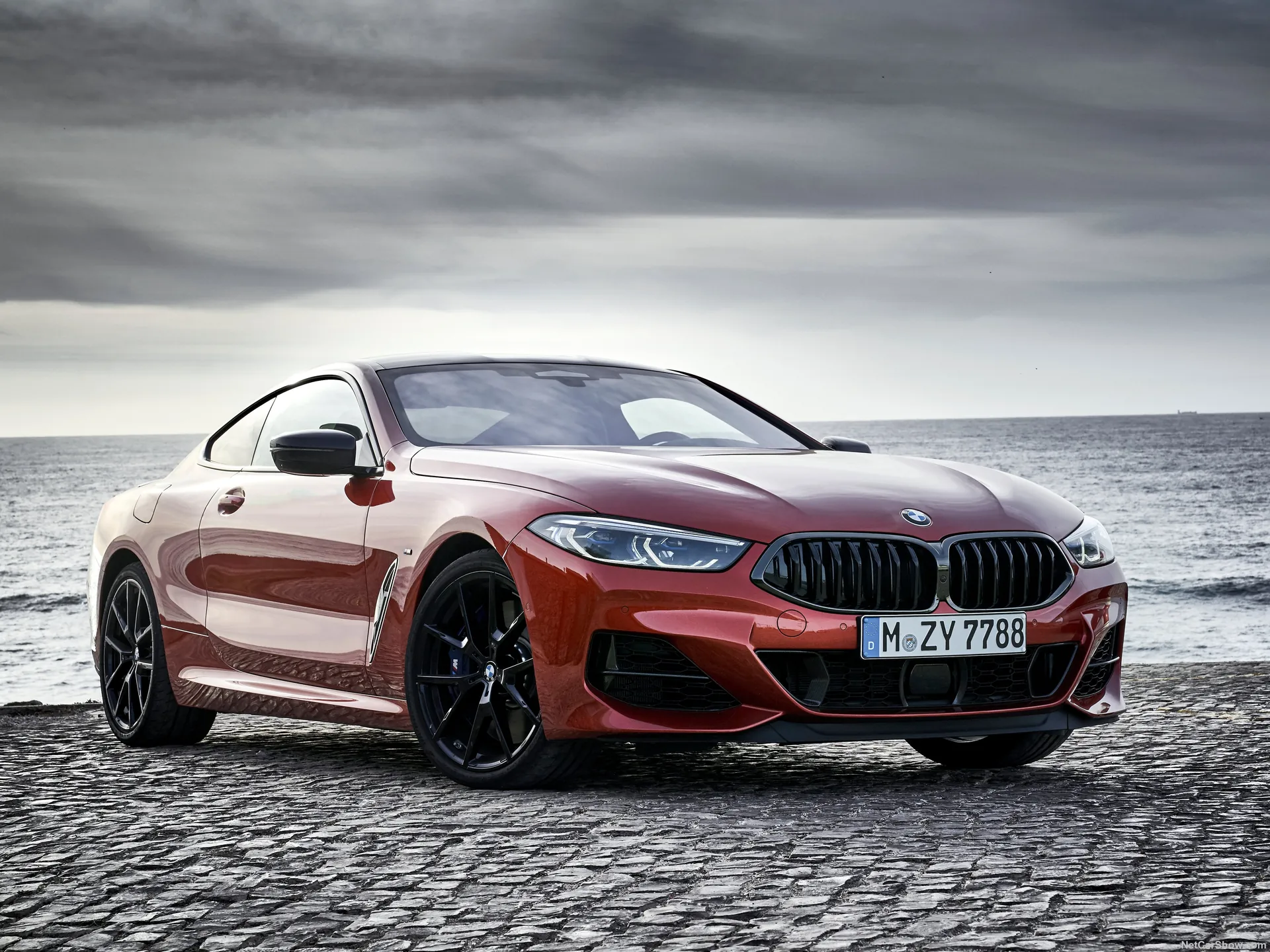 BMW 8-Series Coupe (2019)