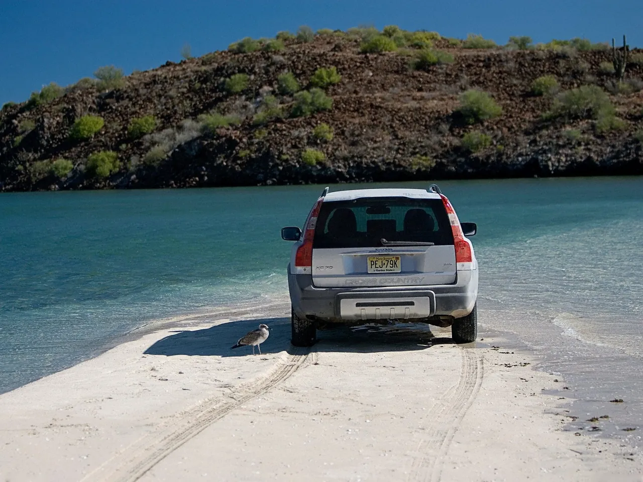 Volvo XC70 (2007) – zezadu