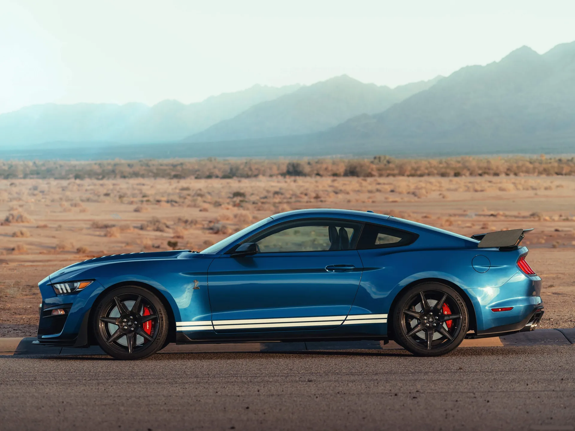 Ford Mustang Shelby GT500 (2020) - Side Profile