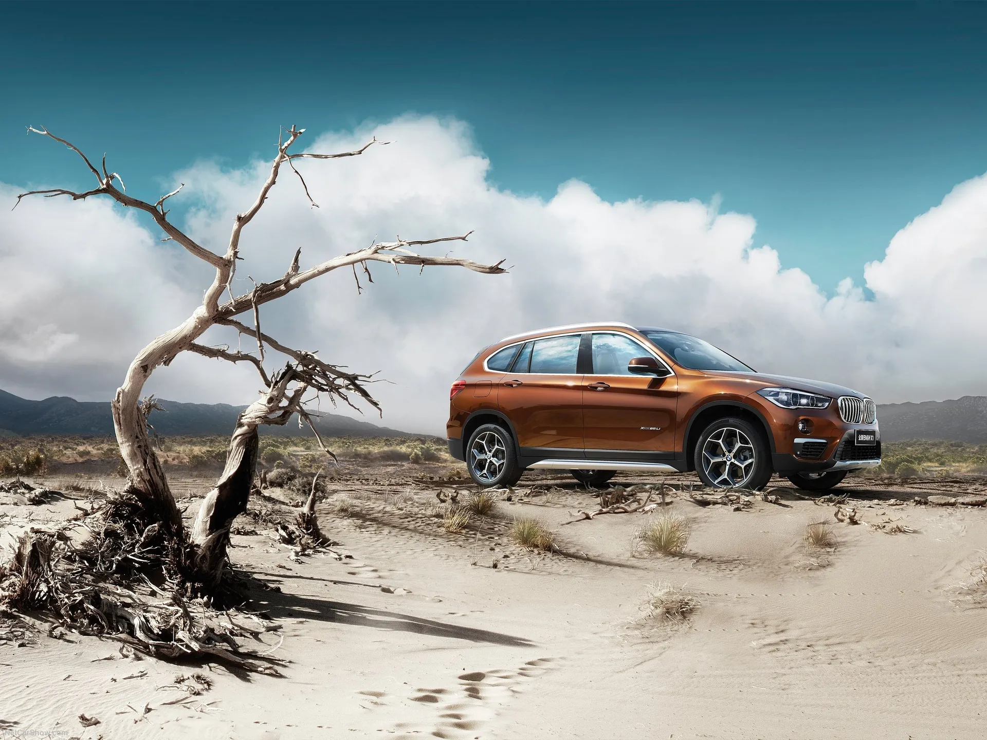 BMW X1 Long Wheelbase (2017)