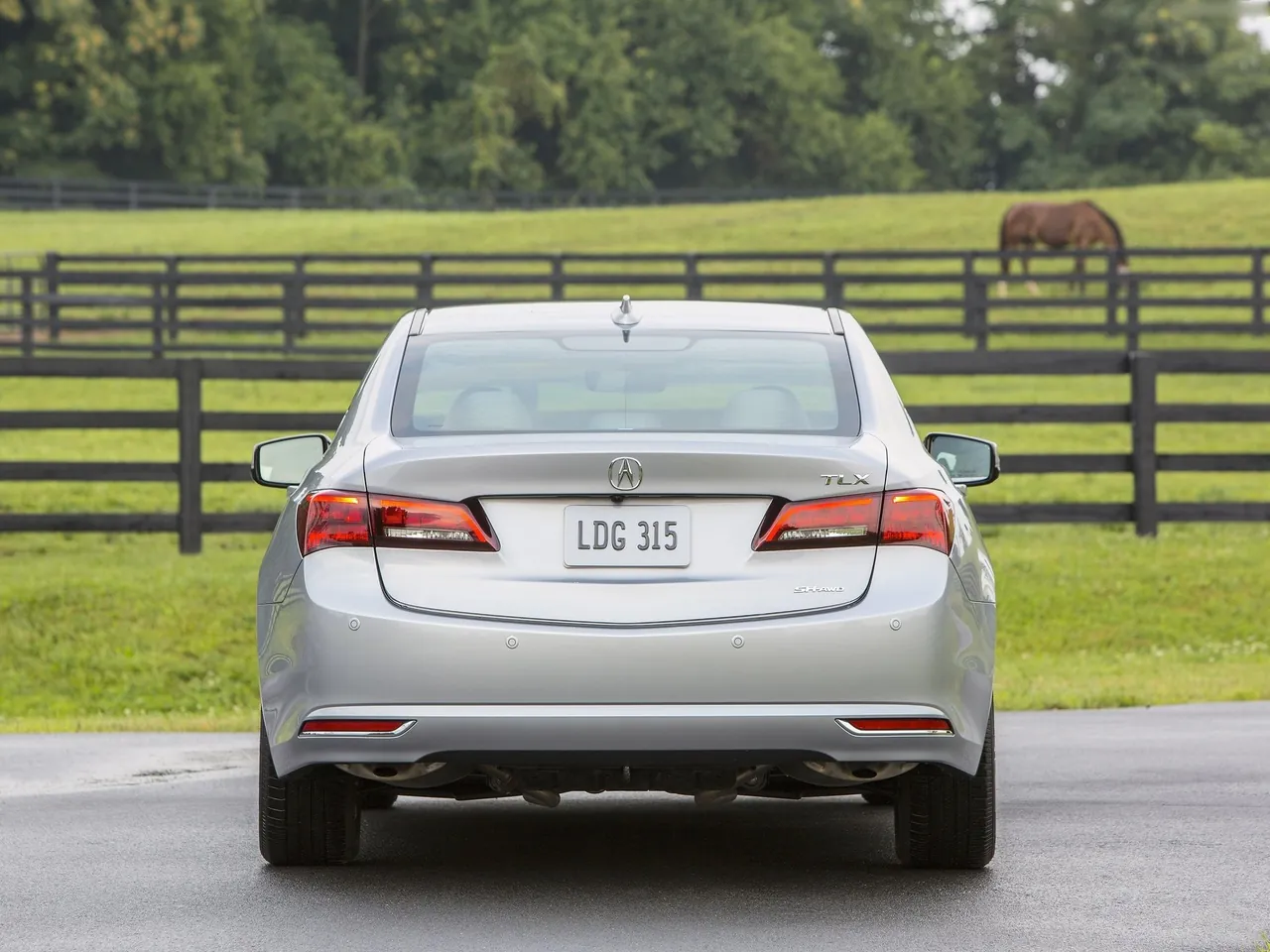 Acura TLX (2015) – zezadu