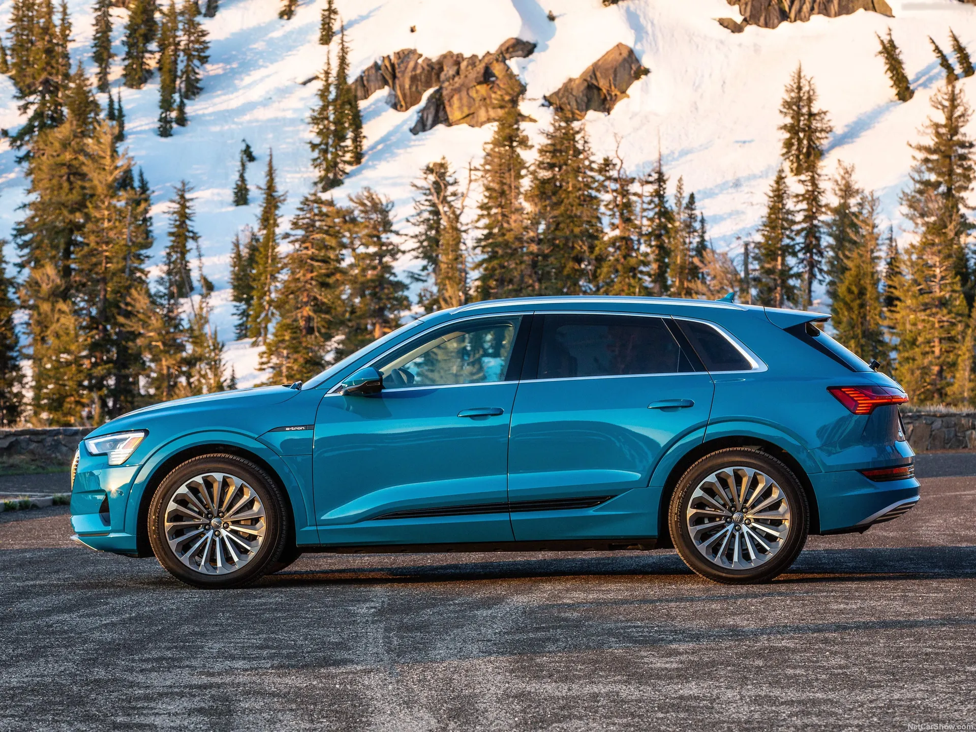 Audi e-tron [US] (2020) – boční profil