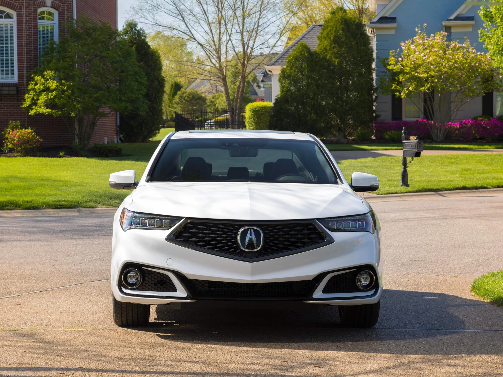 Acura TLX (2018) – zepředu