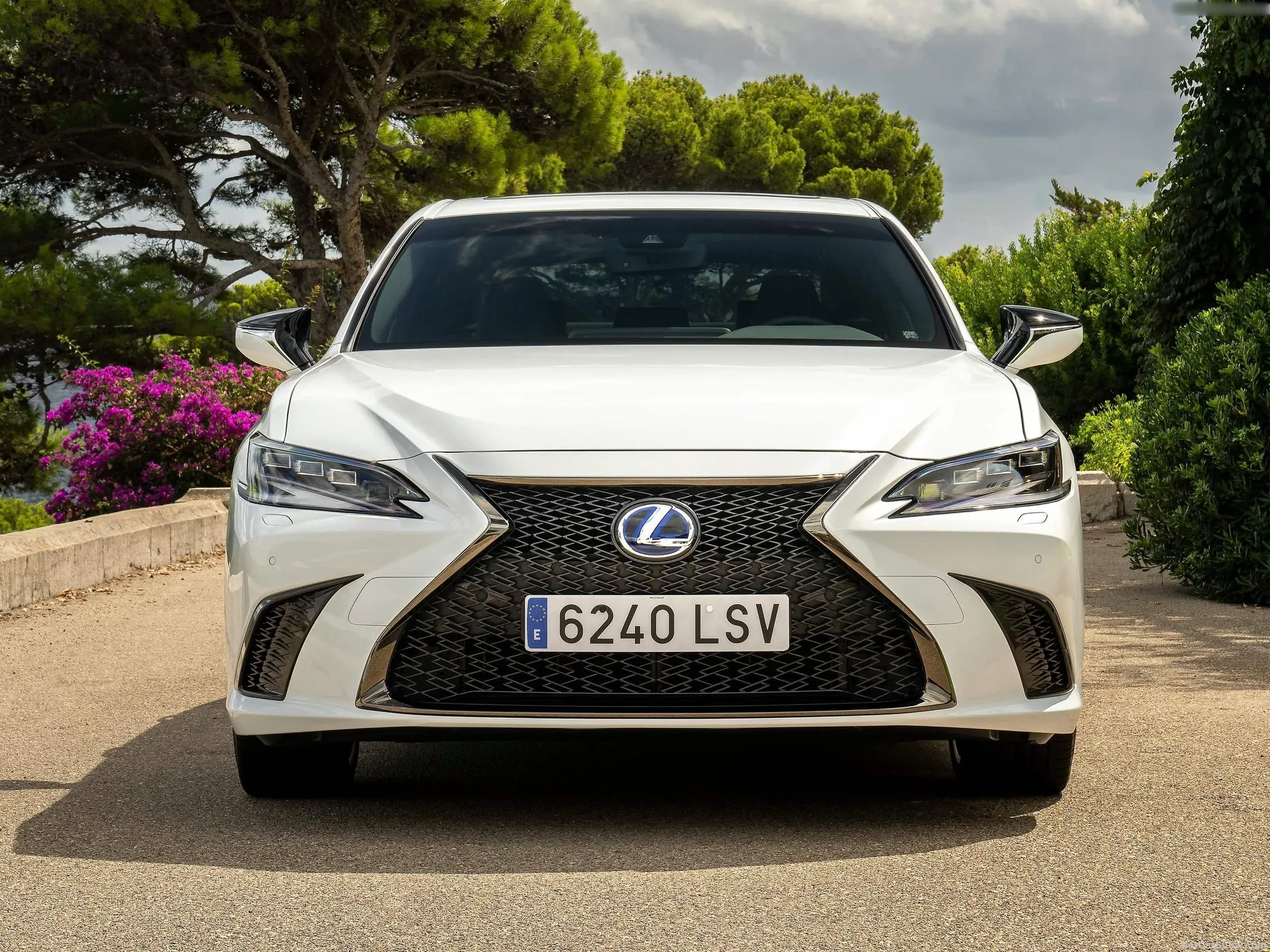 Lexus ES 300h [EU] (2022) – zepředu