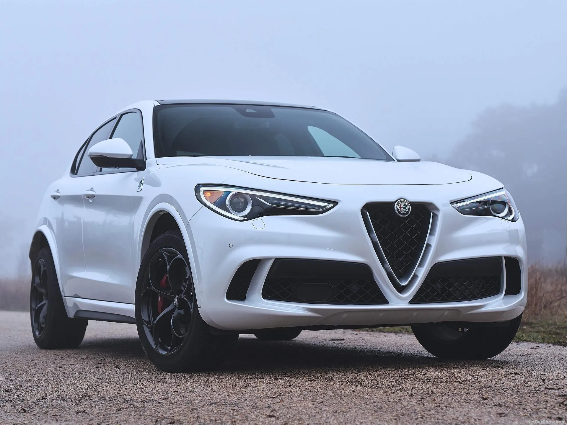 Alfa Romeo Stelvio Quadrifoglio [US] (2018) - Front Three-Quarter