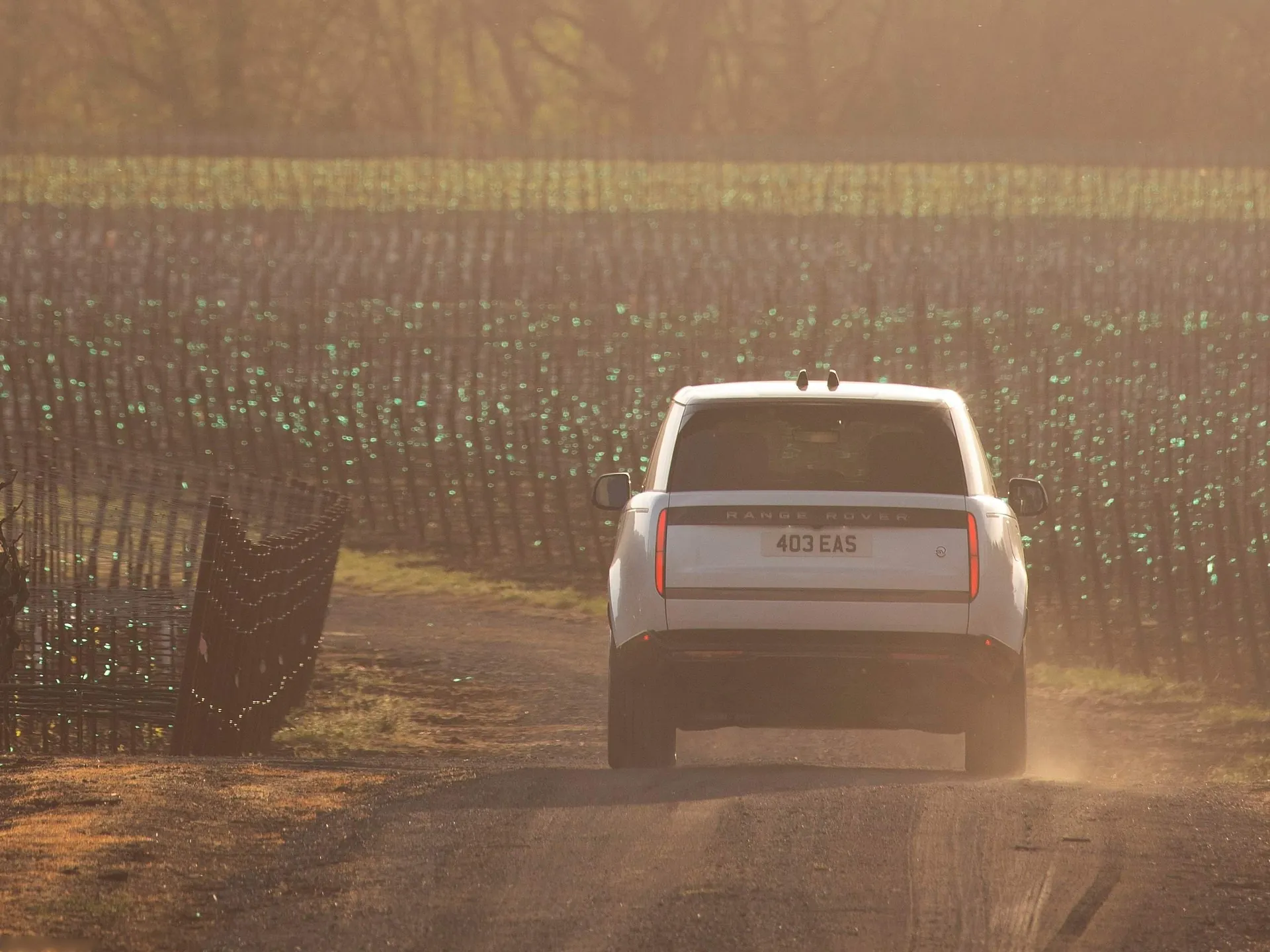 Land Rover Range Rover SV Serenity (2022) – zezadu