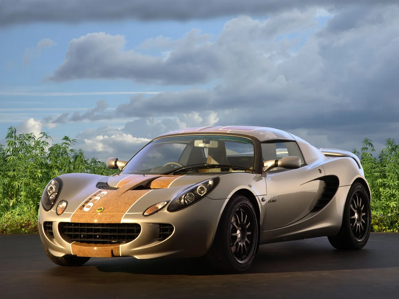 Lotus Eco Elise (2009)