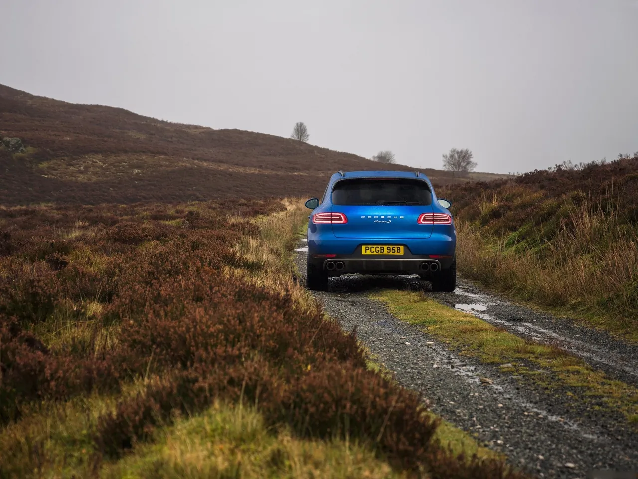 Porsche Macan (2015) – zezadu