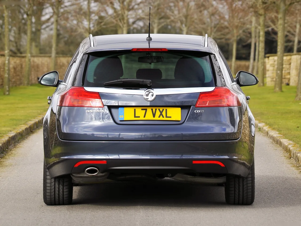 Vauxhall Insignia Sports Tourer (2010) – zezadu