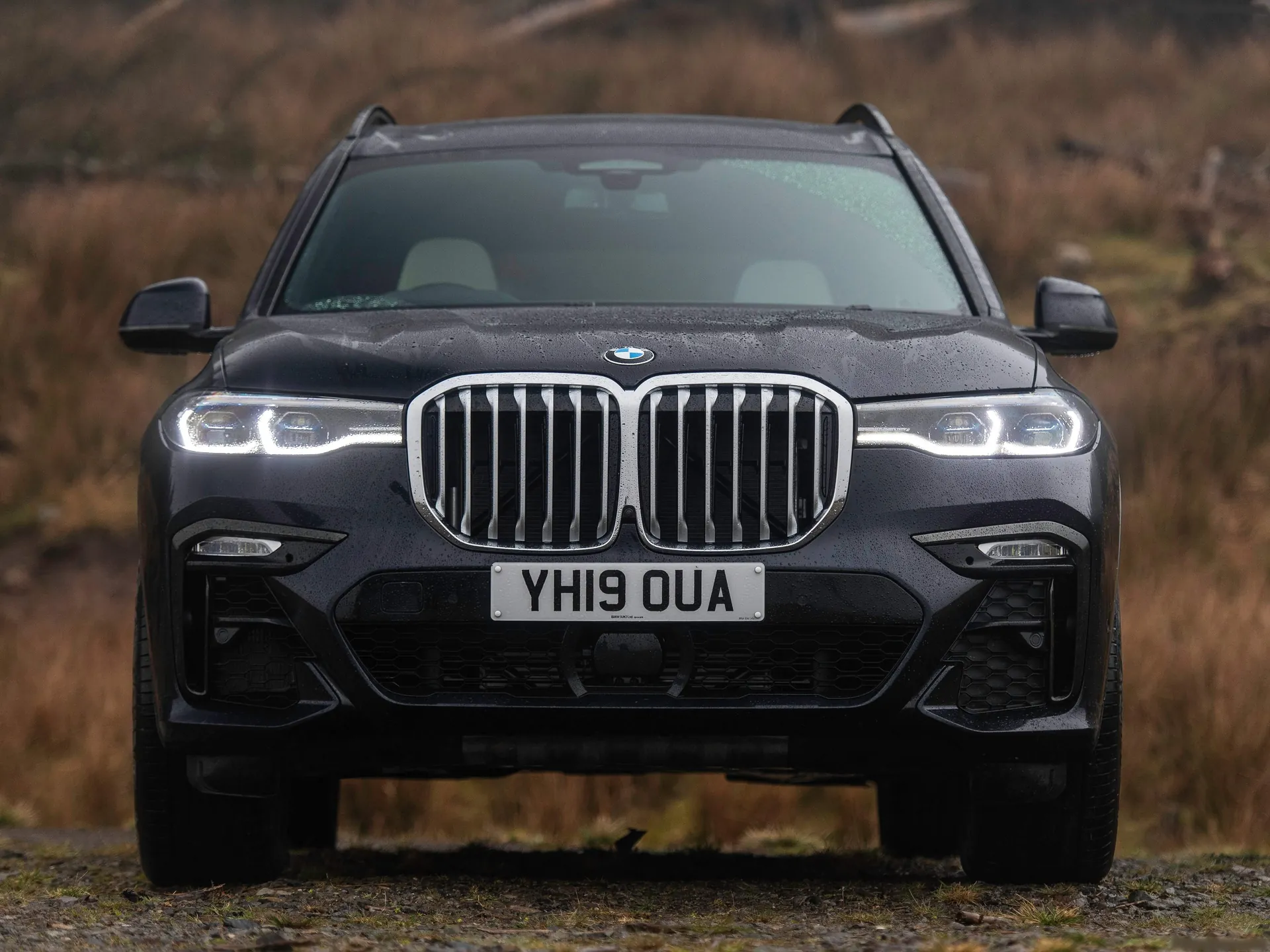 BMW X7 [UK] (2019) – zepředu