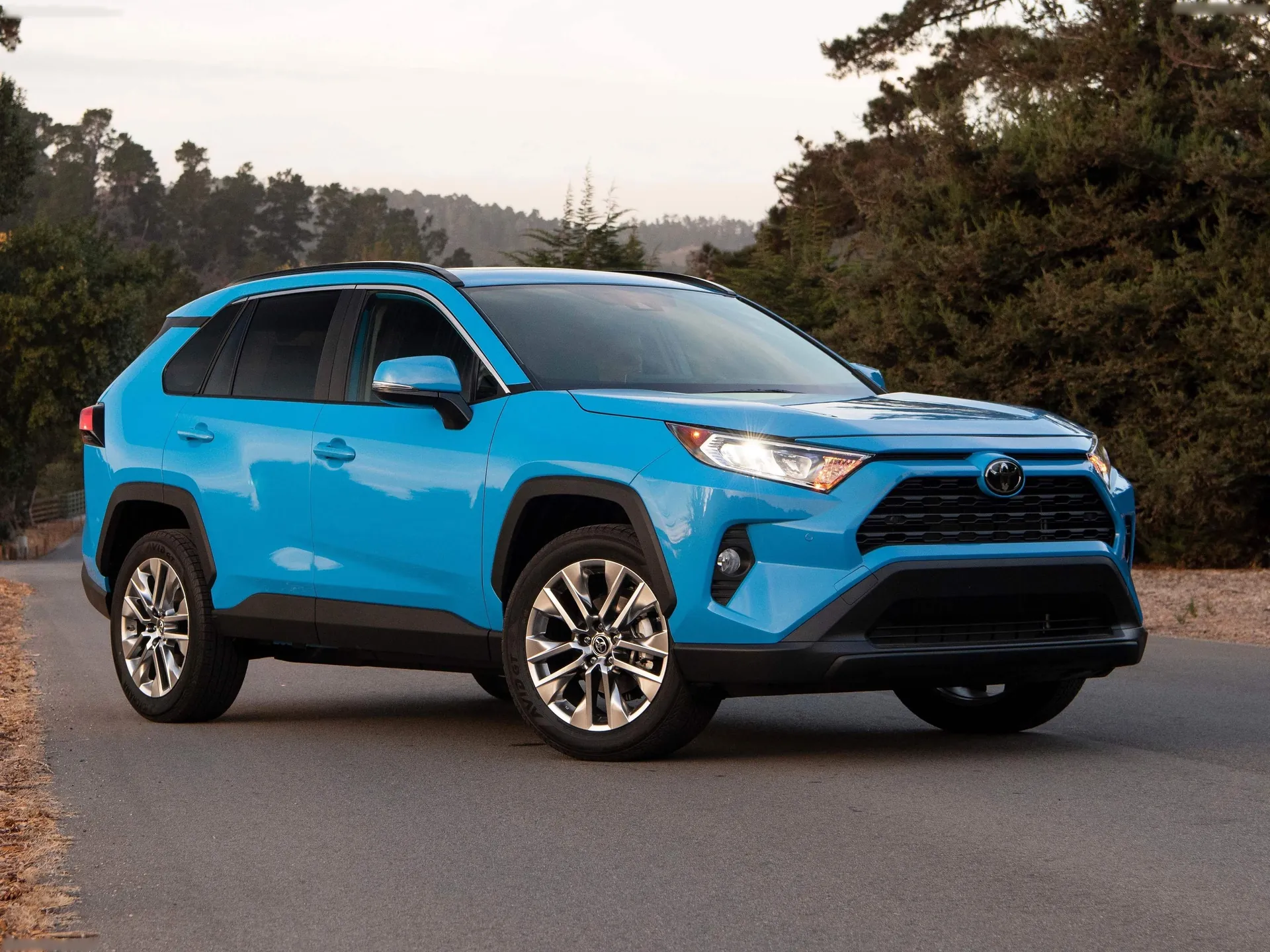 Toyota RAV4 (2019)