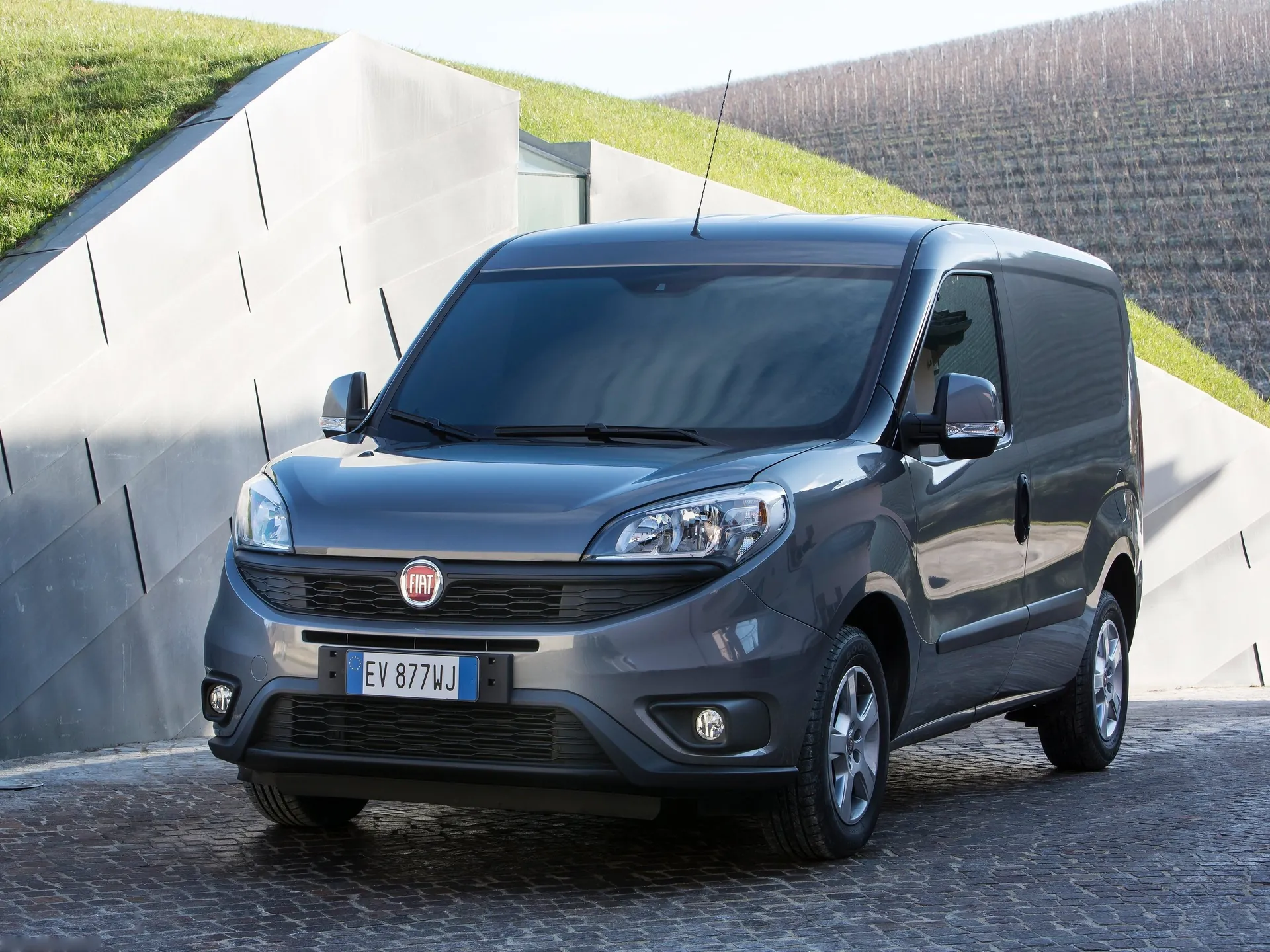 Fiat Doblo Cargo (2015)