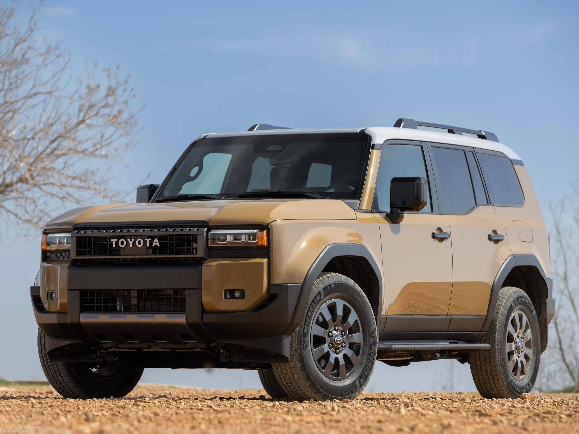 Toyota Land Cruiser [US] (2024)