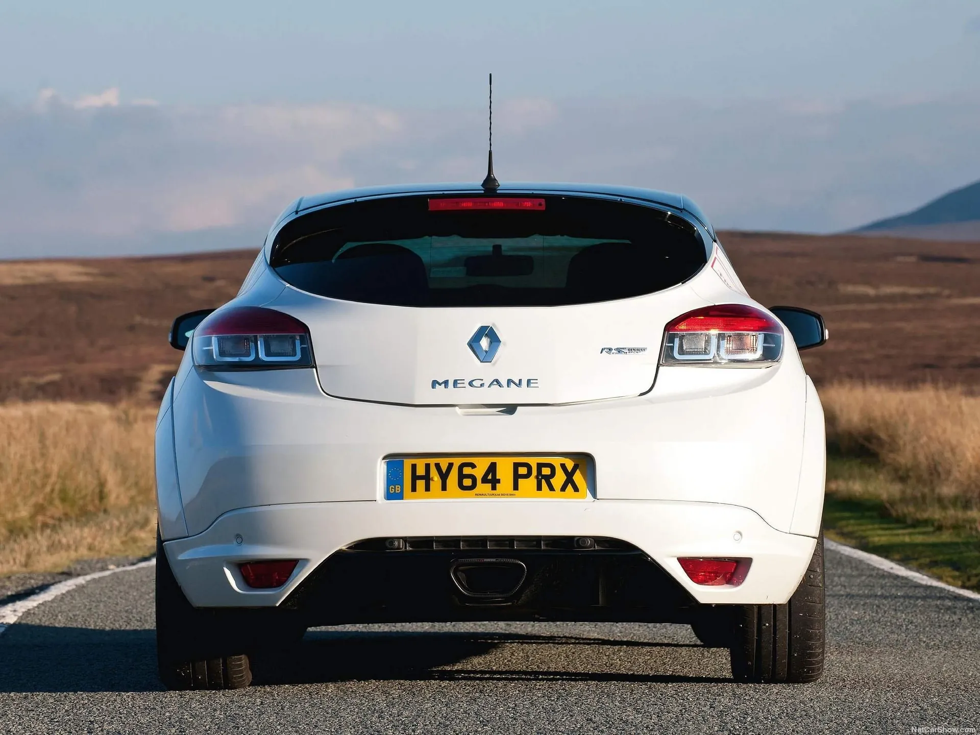 Renault Megane RS 275 Trophy-R (2015) – zezadu
