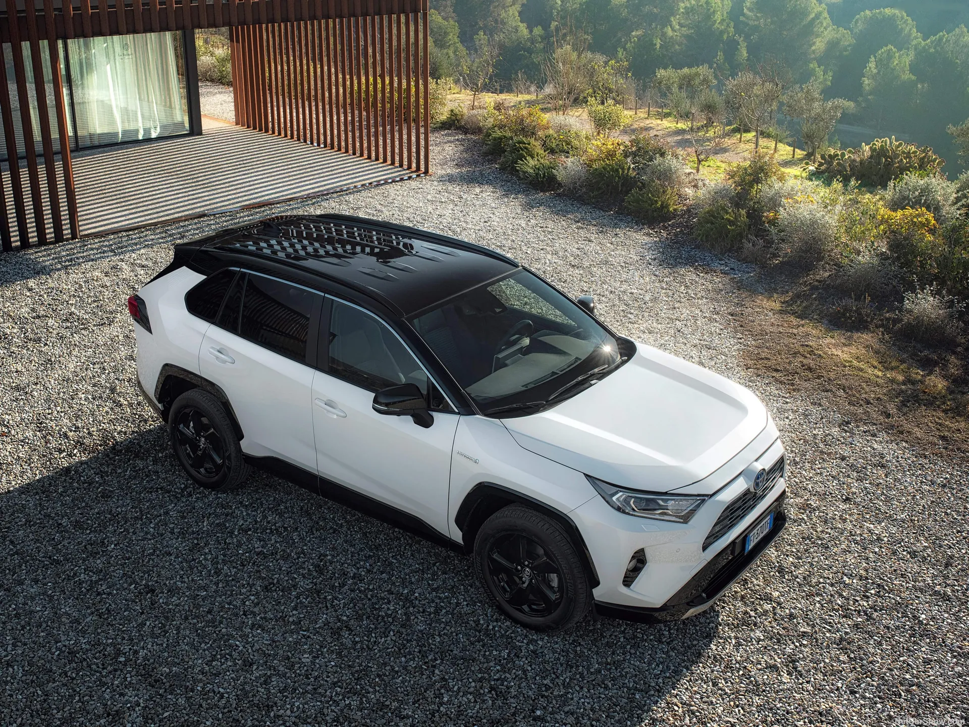 Toyota RAV4 Hybrid [EU] (2019)