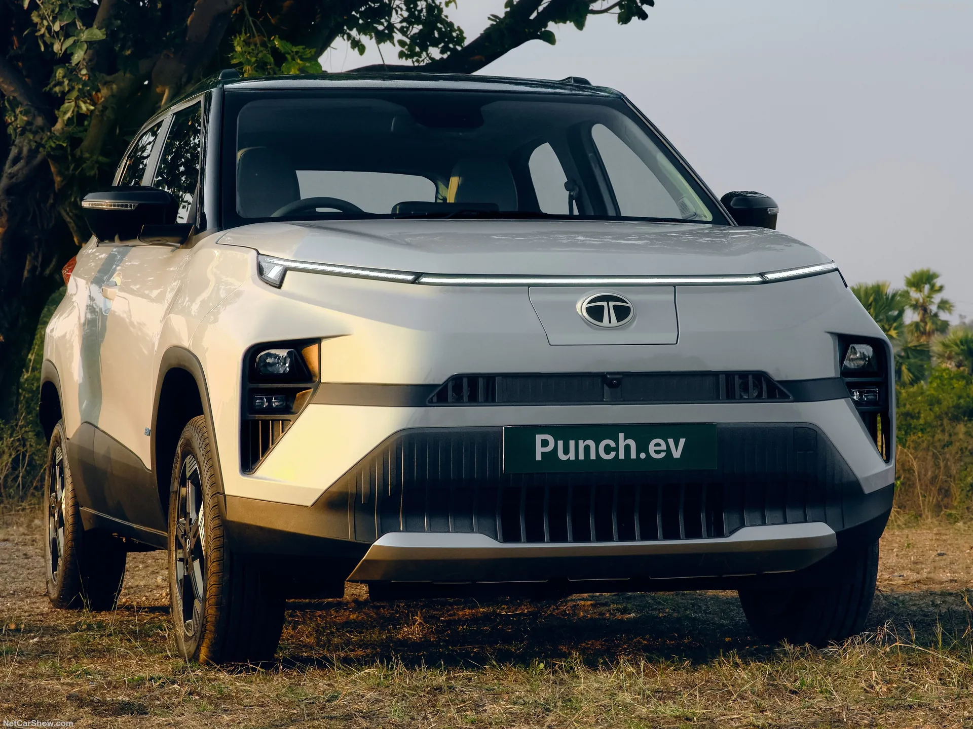 Tata Punch.ev (2024)