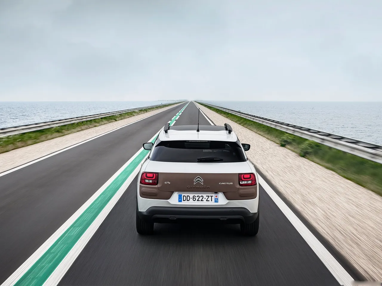 Citroen C4 Cactus (2015) – zezadu
