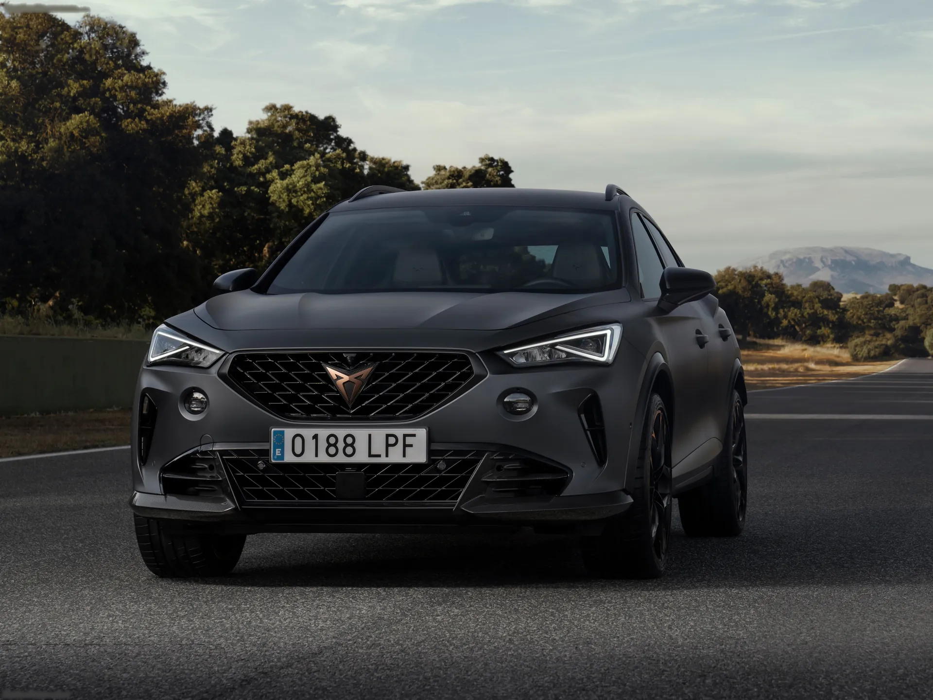 Cupra Formentor VZ5 (2022)