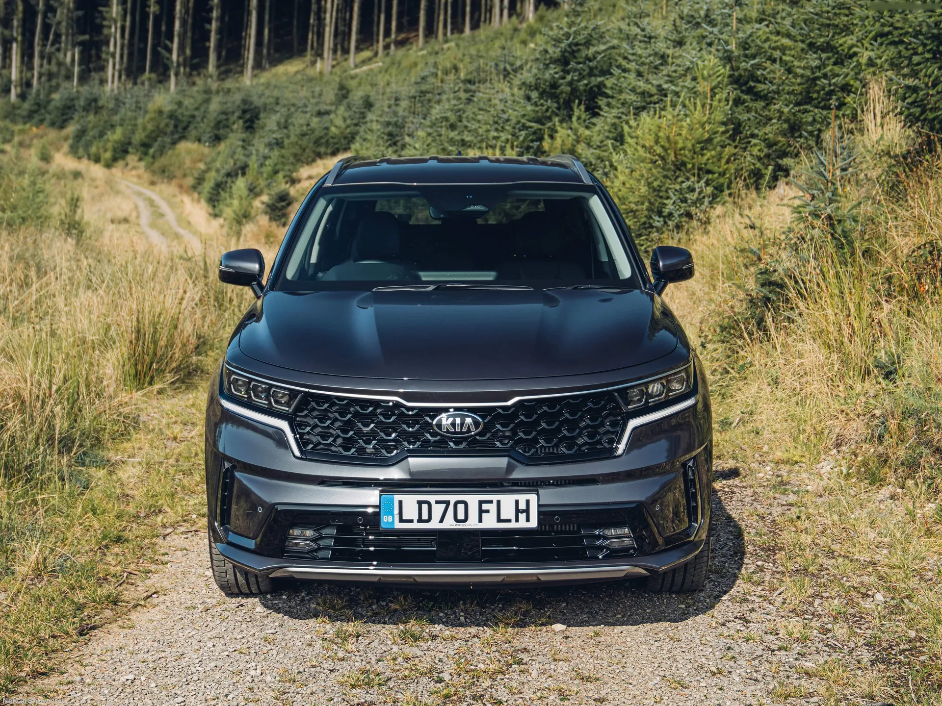 Kia Sorento [UK] (2021) – zepředu
